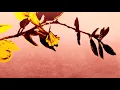 Sounds of Future Siam — Pi