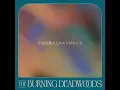 The Burning Deadwoods / Aliens feat. Furui Riho (Official Visualizer)