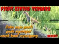 Download Lagu Suara burung sintar||sering saya gunakan buat nyangong