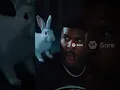 The Rabbits Are Coming Dale Lowtiergod Short