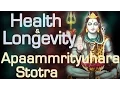 Lagu Vedic Chants | Health \u0026 Longevity | Apaammrityuhara Stotra | 108 Times