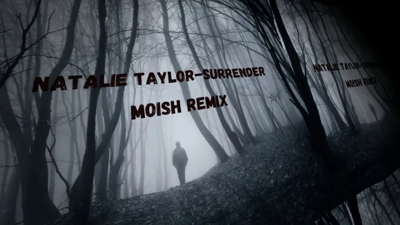 Natalie Taylor-Surrender(Moish Remix)