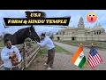 Hidden Places in Chicago Ferry Ride BAPS Temple Historic Farm USA Costco Haul