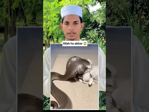 Allah ne zaher diya 😱 #ytshorts #youtubeshorts #viralvideo #reaction #trending