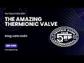 Download Lagu FDIM 2024 - The Amazing Thermionic Valve by Greg Latta AA8V