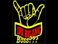 Download Lagu Viral TikTok Iri Bilang Boss (Maha Bener)