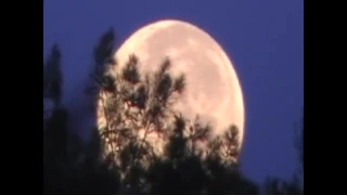 أنشودة كان عندي قمر 