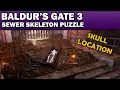 Baldur s Gate 3 Sarin s Skeleton Puzzle - Lower City Sewers