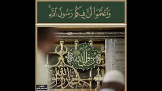 موشح   يا سيد السادات   المنشد   أحمد عثمان الغريب  دندنها