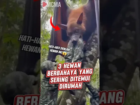 3 hewan berbahaya yang mungkin ada di sekitar rumahmu