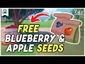 FREE Blueberry Apple Seeds - How to get Seeds Palia