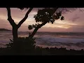Hawaiian Steel & Slack Key Guitar 🌺 2 Hours of Calm Island Music for Stress Relief