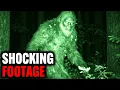 Lagu The First CLEAR Bigfoot Footage of 2026 Has Arrived!
