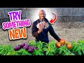 Rare Heirloom Seeds Baker Creek Seeds