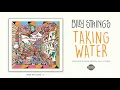 Billy Strings - Taking Water