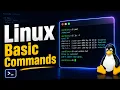 Linux Basic Commands for Beginners