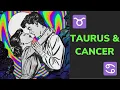 The Taurus Cancer Relationship - LOVE Friendship Compatibility
