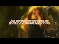 【 和訳 】　Brakence - Hypochondriac