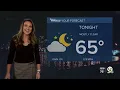 Frances Peyton 2024 WPTV NBC5
