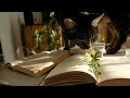 📖 Reading Soundtrack (Instrumental Piano Music)