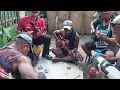 Download Lagu PNG Local String Band