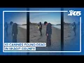 At least 13 canines found dead in Skagit County