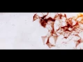 Plexus Intro After Effects project hive template