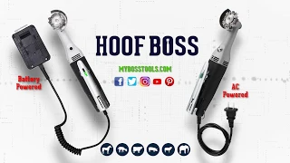 Pig Hoof Trimming Instructions