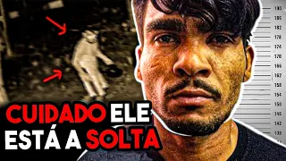 CUIDADO!!! ele é MUITO PERIGOSO