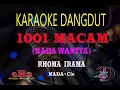 Download Lagu Karaoke 1001 Macam Nada Wanita - Rhoma Irama (Karaoke Dangdut Tanpa Vocal)