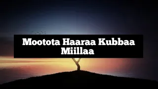 Mootota Haaraa Kubbaa Miilaa Raajjaa Meef 