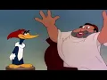 Download Lagu O Barbeiro de Sevilha -  Episódio do Pica-Pau Completo - Figaro - Pica-Pau Antigo Português