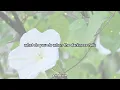 moonflower - Abbie Gamboa (lyric video)