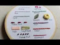 Lagu Hand Embroidery for Beginners || 14 basic embroidery stitches by Let's Explore