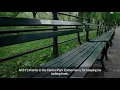 The Park Needs Us Kristen Bell as a Park Bench Donate