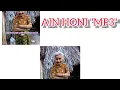 lagutimorsedih//AINHONI mp3