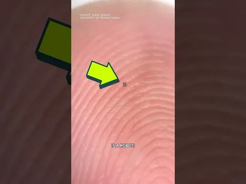 This Microrobot Wiggles In Your Body
