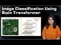 Image Classification Using Swin Transformer