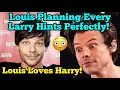 Louis Loves Harry 😍 Louis Larrying In The Cheekiest Way Possible 🤣💙💚 