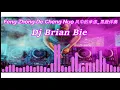 Download Lagu Feng Zhong De Cheng Nuo 風中的承諾 Remix by Dj Brian Bie