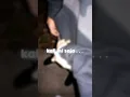 Download Lagu story wa dan izinkan aku memeluk dirimu kali ini saja