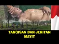 Suara tangisan dan jeritan jenaza yang di mandikan ternyata seperti ini subhanaallah !