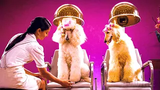 Dei ragazzi hanno creato il miglior posto per CANI al mondo | Le scene migliori di Hotel Bau 🌀 4K