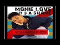 Monie Love - It's A Shame(My Sister)= WSM mashup 2011.wmv