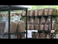 Charlottesville-Albemarle SPCA gives families facing food hardships pet food