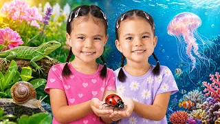 How Do Jellyfish Grow? Twin Twin Nature Adventure!