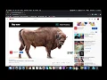 YouTube Auto Ad Skipper