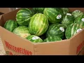 A trip to Aldi Jonesboro rd McDonough GA