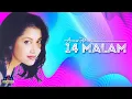 Lagu ANIES FITRIA - 14 MALAM [OFFICIAL AUDIO]