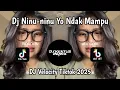 DJ NINU-NINU YO NDAK MAMPU🎵 DJ VELOCITY TIKTOK 2025  